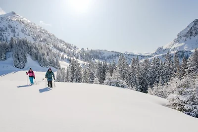 Nr. 1 Kohlröschen