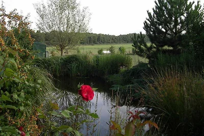 Vakantieappartement Gezinsvakantie Penzlin
