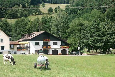 Vakantieappartement Gezinsvakantie Mossautal