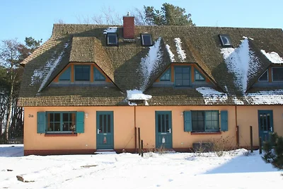 Appartamento Vacanza con famiglia Wustrow (Ostsee)