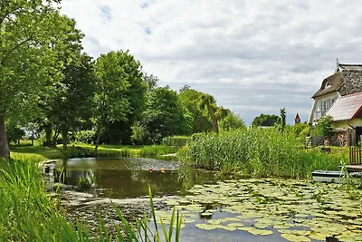 Appartamento Vacanza con famiglia Middelhagen