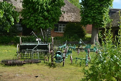 Für 3 Feriengäste in Göhren