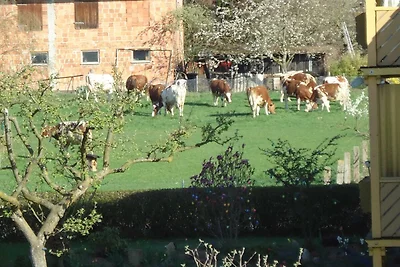 Appartamento Vacanza con famiglia Edertal