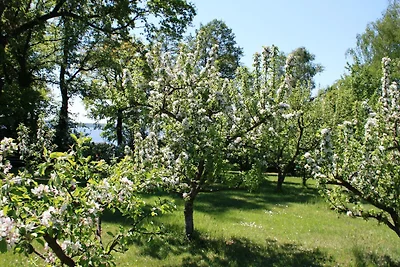 Landhaus - Suite zum See
