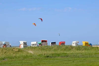 Vakantiehuis Ontspannende vakantie Hooksiel