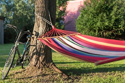 Vakantiehuis Ontspannende vakantie Altwarp