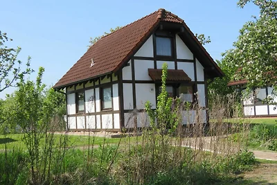 Albergo Cultura ed escursioni Hollern-Twielenfleth