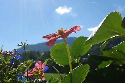 Vakantieappartement Gezinsvakantie Kreuth