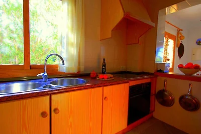 44263 Romantisches Ferienhaus Sa Nau