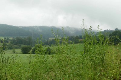 Fewo Im grünen Eck 1