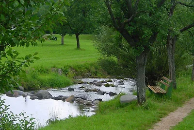 Holiday flat family holiday Elzach