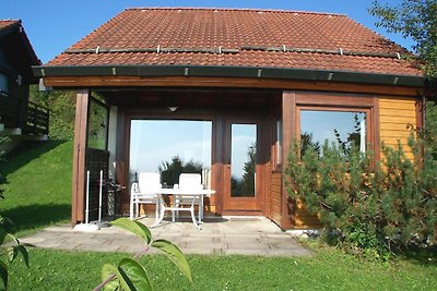 Albergo Cultura ed escursioni Bad Dürrheim