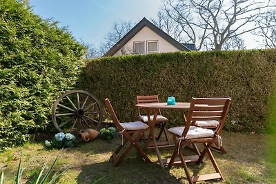 Vakantieappartement Gezinsvakantie Bansin