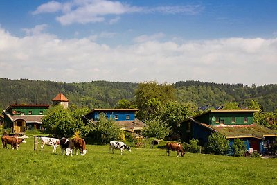 Vakantiehuis Ontspannende vakantie Harbshausen