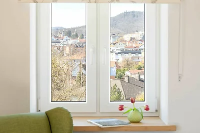 Appartamento Vacanza con famiglia Bad Wildungen