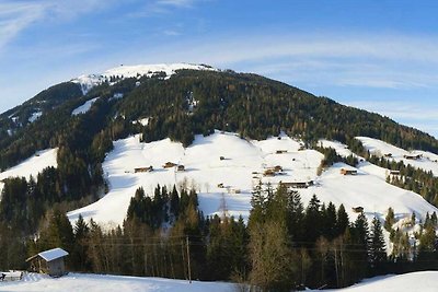 Appartamento Vacanza con famiglia Alpbach