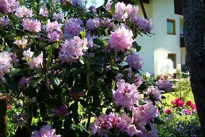 Vakantieappartement Gezinsvakantie Tannheim