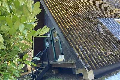 Nurdachhaus 30.32