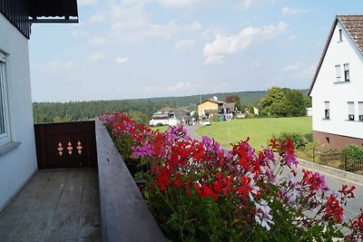 Vakantieappartement Gezinsvakantie Erbach im Odenwald