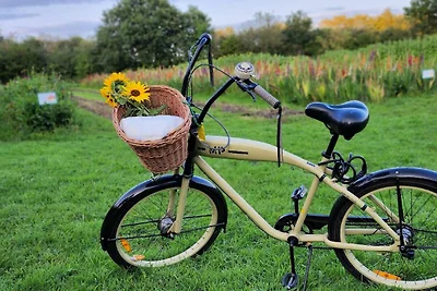 Ferienwohnung Plaggenburg: Das Familienreich