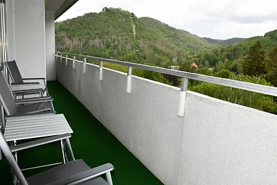Vakantieappartement Gezinsvakantie Bad Harzburg