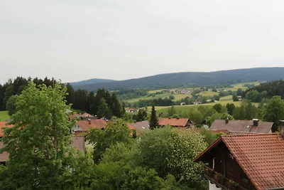 Vakantieappartement Gezinsvakantie Bischofsmais