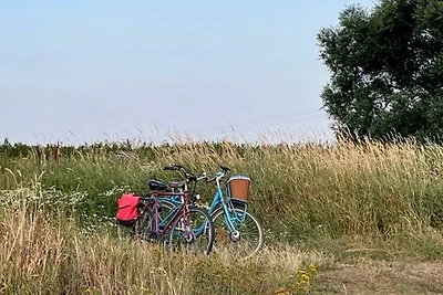 Appartamento Vacanza con famiglia Wittenberg