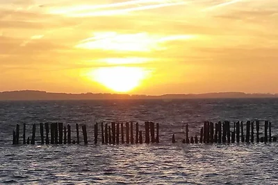 Studio 23 / mit Balkon