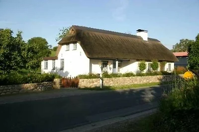 Ferienwohnung Wiesengrund