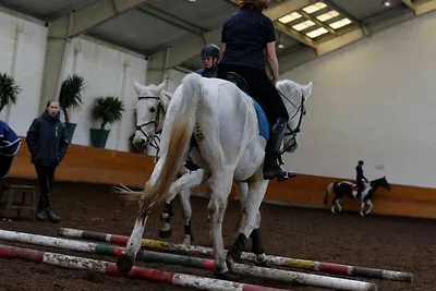 Appartement 5b Reitanlage