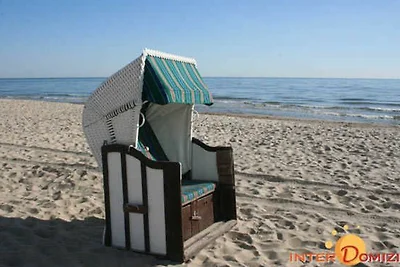 FeWo Godewind A 1.08 Ref. 128676