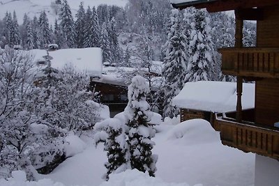 Apartamento Vacaciones familiares Wildschönau