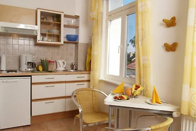 Appartement 11