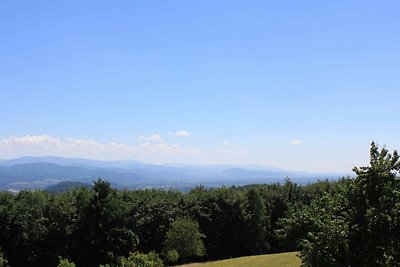 Vakantieappartement Gezinsvakantie Freiamt