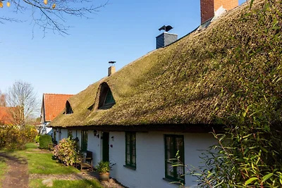 Albergo Cultura ed escursioni Neuenkirchen