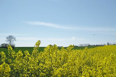 Vakantiehuis Ontspannende vakantie Schönhagen