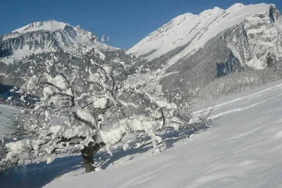 Vakantieappartement Gezinsvakantie Au in Vorarlberg