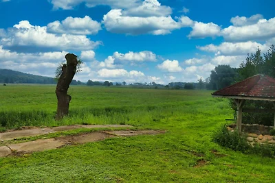 Vakantiehuis Ontspannende vakantie Wolgast