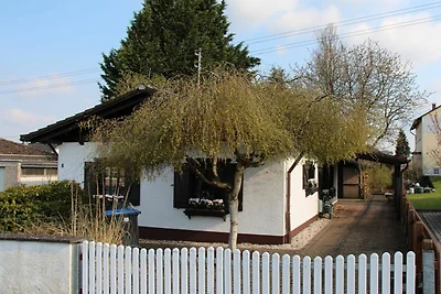 Vakantieappartement Gezinsvakantie Hoffeld