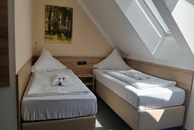 Albergo Cultura ed escursioni Friedrichsbrunn