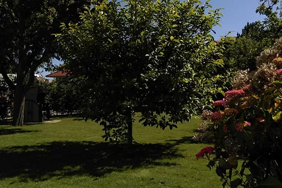 Minerva Ferienwohnung 10