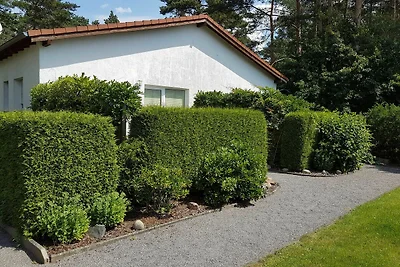 Ferienwohnung 2 - 68064