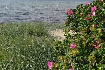 Vakantieappartement Gezinsvakantie Zierow