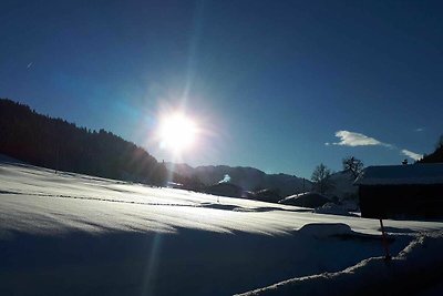 Apartamento Vacaciones familiares Wildschönau
