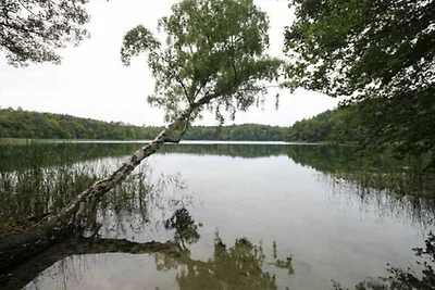 Vakantieappartement Gezinsvakantie Wesenberg