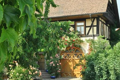 Ferienwohnung Falkenhorst
