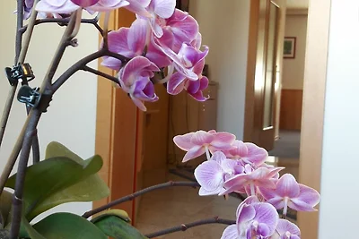 Apartamento Vacaciones familiares Wien