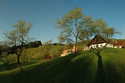 Ferienwohnung Wolfgangsee