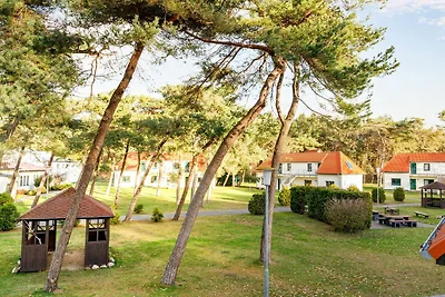 Albergo Cultura ed escursioni Altenkirchen