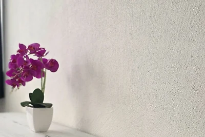 FeWo D`Rock Arosa-4 - nightlife local - adult...